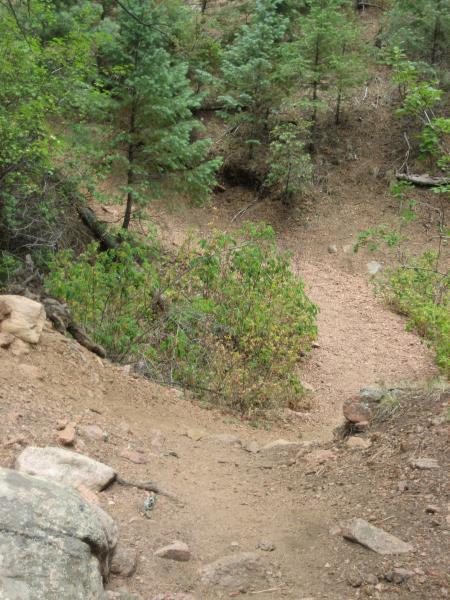 A winding dirt path leads down through a forested area, surrounded by green foliage and small trees. The terrain is uneven with exposed rocks and patches of earth, indicating a natural hiking trail. The atmosphere is tranquil and shaded, typical of a wooded environment. Waldo Canyon mountain bike trail.
