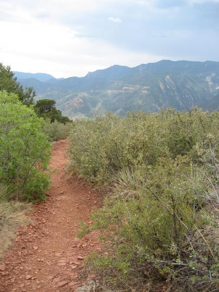 A narrow red dirt trail winding through lush green shrubs, leading towards distant mountains under a partly cloudy sky. Waldo Canyon mountain bike trail.