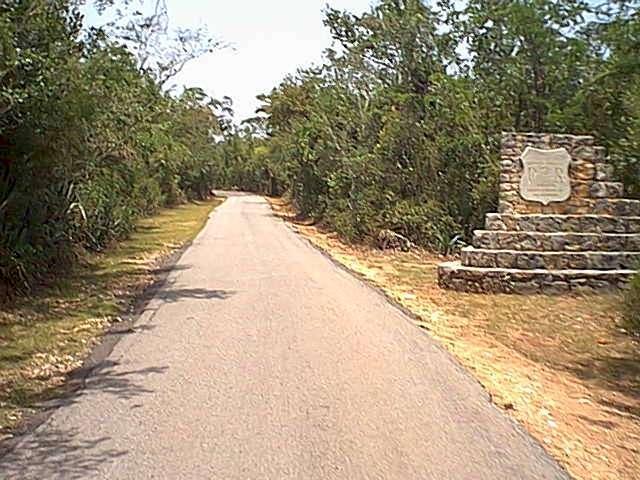 A narrow, paved road stretches into the distance, flanked by lush greenery and trees on both sides. To the right, there is a stone monument with an inscription, partially obscured by the surrounding foliage. The scene is bright and reflects a warm, sunny day. Guanica State Forest mountain bike trail.