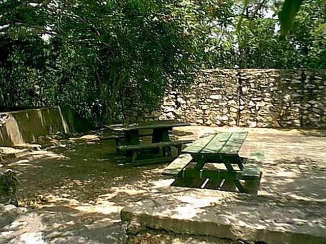 Outdoor picnic area featuring two green wooden tables surrounded by trees and a stone wall. The ground is natural soil, and dappled sunlight filters through the foliage above. Guanica State Forest mountain bike trail.