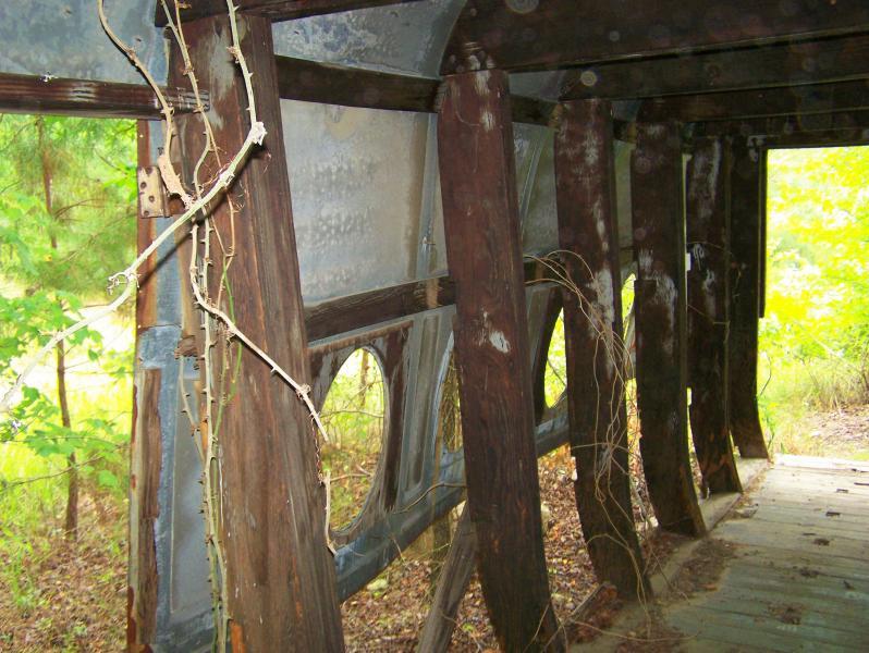 Alt text: Interior view of an abandoned structure with wooden beams and metal walls, partially covered with vines, surrounded by green foliage. Iron Legs Trail mountain bike trail.