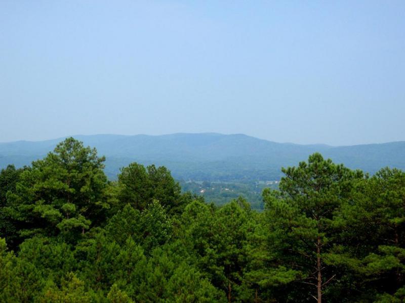 A scenic view of rolling green mountains under a clear blue sky, framed by a foreground of lush pine trees. The landscape features a layer of mist covering the distant hills, creating a tranquil and serene atmosphere. Iron Legs Trail mountain bike trail.