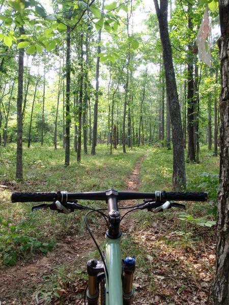 Alt text: View from the handlebars of a mountain bike looking down a dirt trail surrounded by lush green trees in a forest. Iron Legs Trail mountain bike trail.