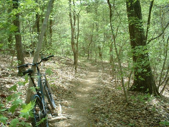 A mountain bike resting on the ground next to a narrow dirt path winding through a lush forest with green leaves and trees in the background. The scene is peaceful, showcasing nature and an inviting trail. Lynches Woods mountain bike trail.