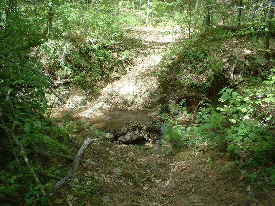 A serene forest scene featuring a small, trickling stream running through a dirt path surrounded by lush green foliage and trees. Sunlight filters through the leaves, creating a dappled light effect on the ground. Lynches Woods mountain bike trail.