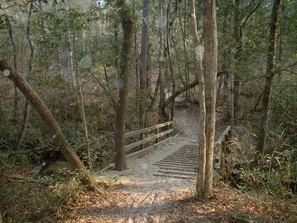 A wooden footbridge crossing over a small stream, set in a wooded area with lush green foliage and fallen leaves scattered on the ground. Sunlight filters through the trees, creating dappled light on the path leading up to the bridge. Killer Three Loop mountain bike trail.