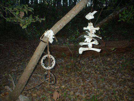 A forest scene featuring a tree branch with two hanging decorations: the left side displays metal gear and circular shapes, while the right side features various white bones arranged in an artistic manner. The ground is covered with fallen leaves, and the background consists of dense greenery. Killer Three Loop mountain bike trail.