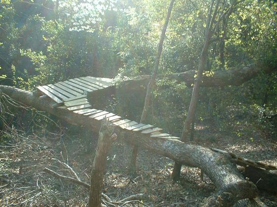 A wooden bridge made of planks, connecting two fallen tree trunks in a wooded area, with sunlight streaming through the trees and a natural, earthy setting. Killer Three Loop mountain bike trail.