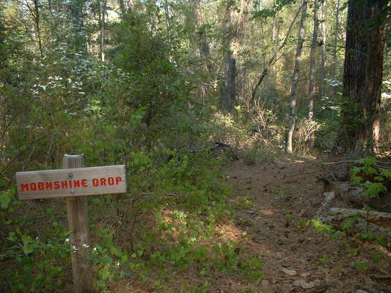 A signpost labeled "Moonshine Drop" stands at the edge of a wooded trail, surrounded by greenery and tall trees. The path is unpaved, indicating a natural, outdoor setting. Killer Three Loop mountain bike trail.