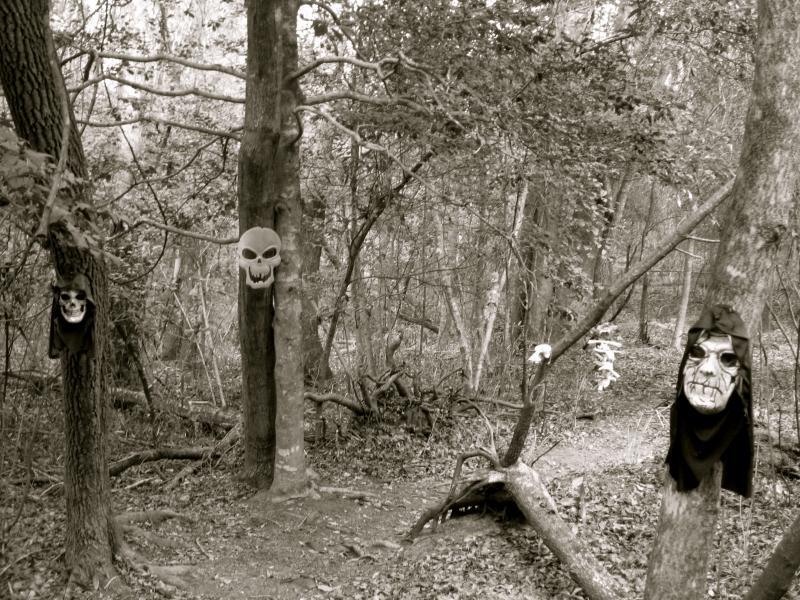 A black and white image of a dense forest, featuring several large, decorative skull masks hanging from tree trunks. The scene has an eerie atmosphere, with gnarled branches and scattered leaves on the ground, enhancing the spooky ambiance. Killer Three Loop mountain bike trail.