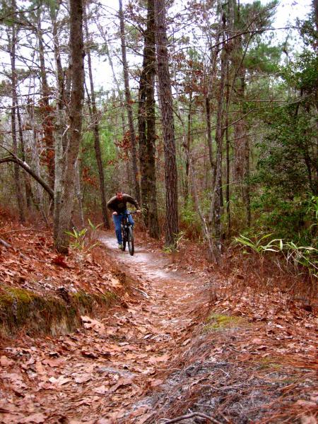 A person riding a mountain bike along a narrow dirt trail in a forest, surrounded by tall trees and scattered autumn leaves. The trail is slightly winding and covered with a mix of dirt and fallen foliage, showcasing a natural outdoor setting. Killer Three Loop mountain bike trail.