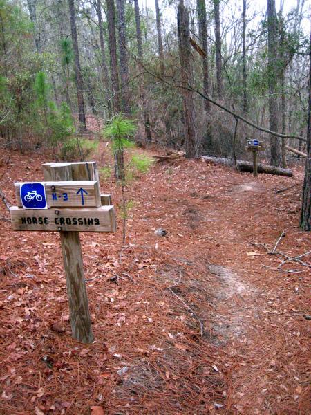 A dirt path through a wooded area, with signs indicating directions for cyclists and warning of horse crossings. Pine needles cover the ground, and the trees are lush, creating a natural trail environment. Killer Three Loop mountain bike trail.