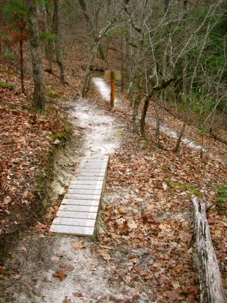 A narrow hiking trail covered in fallen leaves, featuring a small wooden bridge crossing a muddy section. In the background, a sign is partially visible along the path in a wooded area with bare trees. Killer Three Loop mountain bike trail.