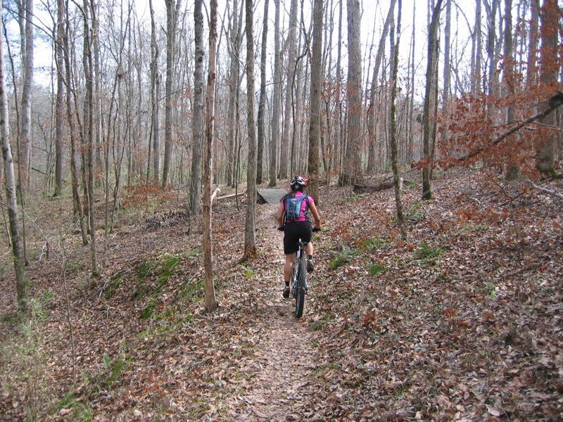 A person riding a mountain bike on a narrow trail through a wooded area, surrounded by tall trees with bare branches and scattered fallen leaves on the ground. Wine Creek mountain bike trail.