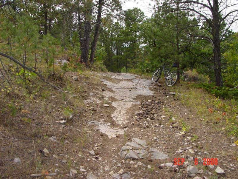 A rocky bike trail winding through a forest area, with pine trees in the background and a bicycle leaning against a tree on the right. The path shows signs of wear and natural vegetation along the sides. Centennial Trail mountain bike trail.