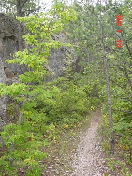 A narrow dirt path winding through a dense forest, flanked by green trees and rocky formations. The scenery is lush and vibrant, showcasing a mix of deciduous and coniferous plants, with hints of autumn colors visible in the undergrowth. Centennial Trail mountain bike trail.