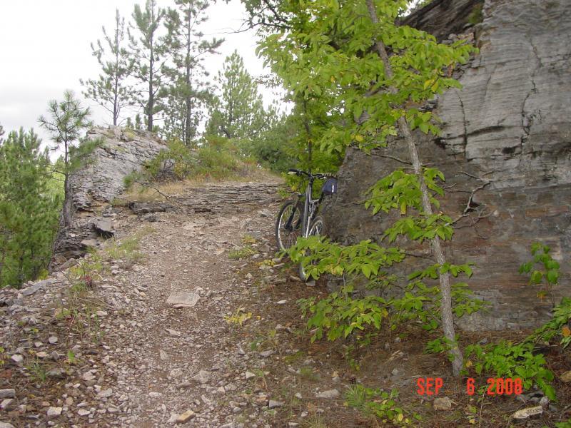 A mountain bike is parked beside a rocky trail surrounded by lush greenery and pine trees. The path is uneven and partially obscured by plants, leading into a natural landscape under a cloudy sky. Centennial Trail mountain bike trail.