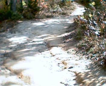 A winding dirt path surrounded by greenery, with sunlight filtering through trees. The trail shows signs of use, with a slightly uneven surface and patches of sand. Chilhowee trail system mountain bike trail.