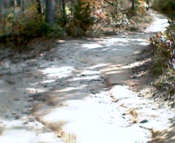 A winding dirt path surrounded by trees, with patches of sunlight illuminating the ground. The path appears slightly uneven, suggesting it may be used for walking or hiking. Chilhowee trail system mountain bike trail.