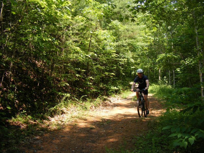A mountain biker riding on a dirt trail surrounded by lush green foliage and trees. The sunlight filters through the leaves, creating a vibrant outdoor scene. Chilhowee trail system mountain bike trail.