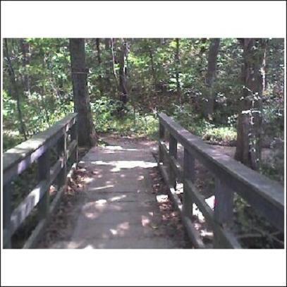 A wooden bridge leading through a wooded area, surrounded by trees and greenery. The path is clear, inviting visitors to explore the natural environment. Haw Ridge Park mountain bike trail.