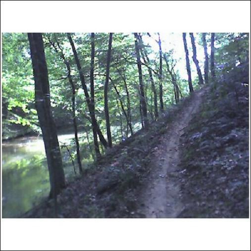 A narrow dirt path winding through a lush green forest, with trees on either side and a calm river visible to the left. Sunlight filters through the leaves, creating a peaceful and serene atmosphere. Haw Ridge Park mountain bike trail.
