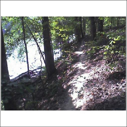 A narrow trail winding through a lush forest with green foliage, leading toward a body of water visible in the background. Sunlight filters through the trees, creating dappled shadows on the ground. Haw Ridge Park mountain bike trail.