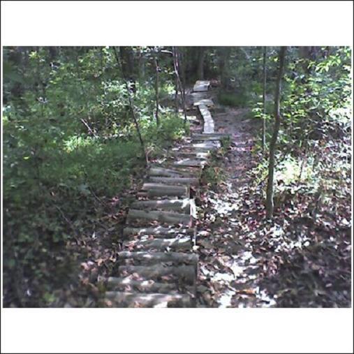 A narrow, winding pathway made of wooden logs stretches through a lush, green forest. The ground is covered with fallen leaves, and trees and foliage frame the path on either side, creating a serene, natural environment. Haw Ridge Park mountain bike trail.