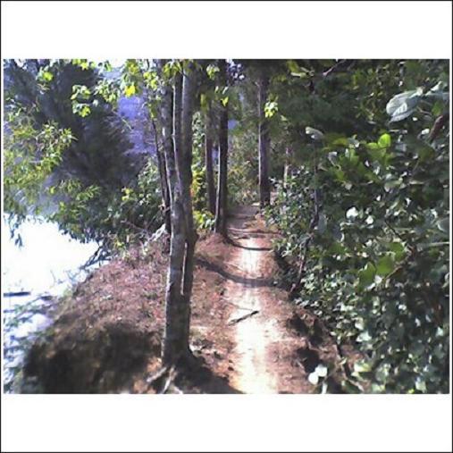A narrow dirt path surrounded by trees and lush greenery, leading alongside a body of water. Sunlight filters through the leaves, casting subtle shadows on the trail. Haw Ridge Park mountain bike trail.