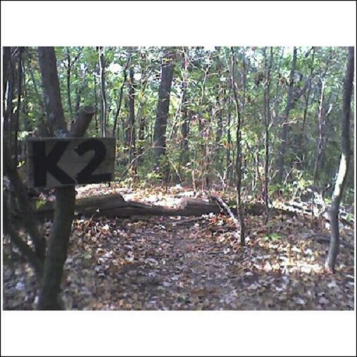 A wooded area with a sign labeled "K2" positioned on a tree. The ground is covered with fallen leaves, and there's a log lying on the forest floor amidst green foliage and thin trees in the background. Haw Ridge Park mountain bike trail.