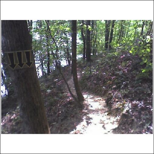 A winding dirt path through a lush, green forest with sunlight filtering through the trees. A wooden post with three downward arrows is visible on the left side of the image, indicating trail information. A body of water can be seen in the background, adding to the serene landscape. Haw Ridge Park mountain bike trail.