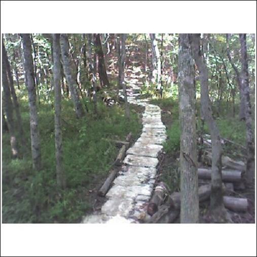 A narrow stone path winding through a forested area, flanked by trees and greenery, leading into the distance. Logs and fallen branches are scattered along the sides of the path. Haw Ridge Park mountain bike trail.