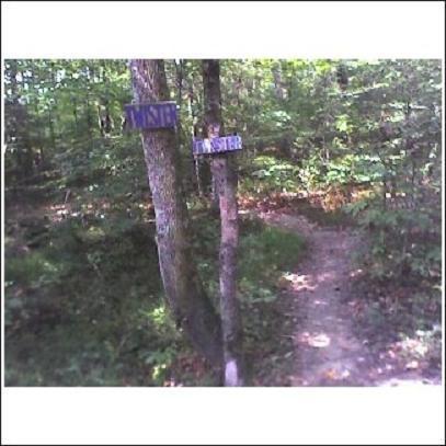 Two wooden signposts standing at a fork in a forest trail, one sign pointing to the left labeled "Myst" and the other pointing to the right labeled "Master." The surrounding area features greenery and a clear path, indicating a natural outdoor setting. Haw Ridge Park mountain bike trail.