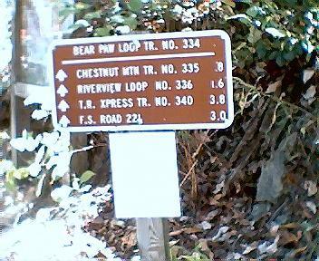 Brown trail sign with multiple hiking trail names and distances, including Bear Paw Log Trail No. 334 (8 miles), Chestnut Mtn Trail No. 335 (1.6 miles), Rhymerly Loop No. 336 (3.8 miles), T.B. Xpress Trail No. 340 (3.0 miles), and F.S. Road 221 (3.0 miles), surrounded by foliage. Tanasi Trail System mountain bike trail.