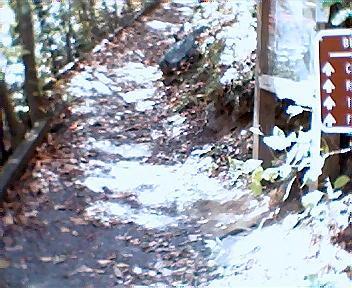 A narrow, winding rocky path through a wooded area, with scattered leaves on the ground. On the right, there is a sign indicating trail directions and information. The scene is well-lit, suggesting a sunny day. Tanasi Trail System mountain bike trail.