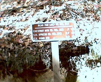Trail sign indicating distances to various locations: Bear Pit 1.7 miles, Chestnut Hollow 0.7 miles, T.R. Jones 1.5 miles, J.S. Room 2.0 miles. The sign is wooden with white text on a brown background, surrounded by fallen leaves. Tanasi Trail System mountain bike trail.