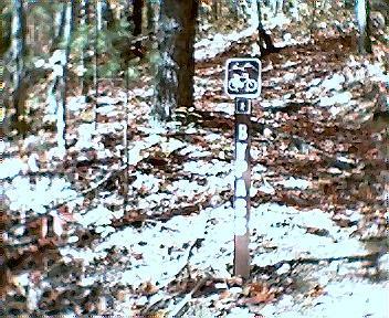 A trail sign indicating a bike trail, featuring a bicycle symbol and the letter "B," surrounded by a forest with fallen leaves on the ground. Tanasi Trail System mountain bike trail.