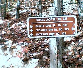 Trail intersection sign displaying directions for hiking, listing "Bypass Loop Tr. No. 337," "Quartz Spur Tr. No. 338," "Chestnut Mtn Tr. No. 335," and "Riverview Loop No. 336," with a background of autumn leaves and trees. Tanasi Trail System mountain bike trail.