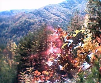 Scenic view of a mountainous landscape in autumn, featuring vibrant foliage in shades of orange and yellow, with rolling hills in the background under a clear blue sky. Tanasi Trail System mountain bike trail.