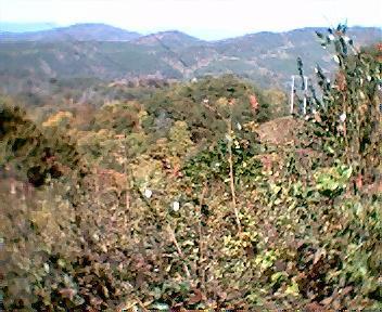 A panoramic view of a hilly landscape featuring lush greenery, trees, and distant mountains under a clear sky. Power lines are visible in the background, indicating a rural area. Tanasi Trail System mountain bike trail.