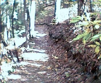 A narrow dirt path winding through a forest, surrounded by trees and fallen leaves, with dappled sunlight illuminating the scene. Tanasi Trail System mountain bike trail.