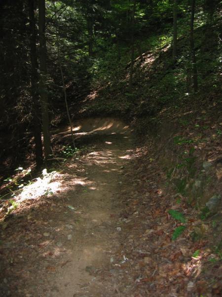 A narrow dirt path winding through a forest, surrounded by tall trees and scattered leaves on the ground. Sunlight filters through the canopy, illuminating portions of the trail. Tanasi Trail System mountain bike trail.