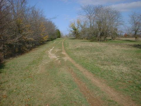 A dirt path winding through an open grassy area, bordered by bare trees under a blue sky with scattered clouds. Tour de Wolf mountain bike trail.