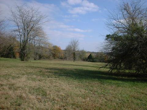 A peaceful landscape featuring a grassy field surrounded by sparse trees, with a clear blue sky and scattered clouds. The scenery suggests an autumn setting, with hints of seasonal change in the foliage. Tour de Wolf mountain bike trail.