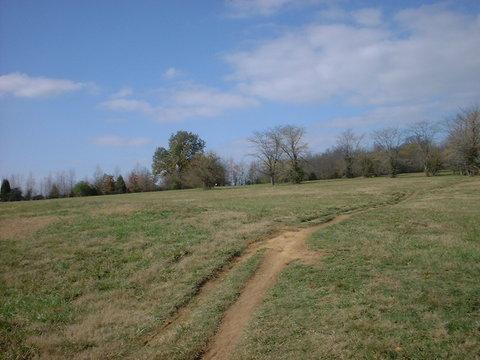 A grassy field with a dirt path winding through it, surrounded by trees and a partly cloudy blue sky. Tour de Wolf mountain bike trail.