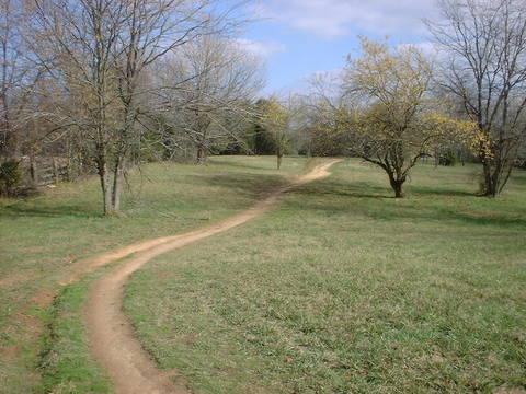 A winding dirt path traverses a grassy landscape, flanked by bare trees, under a partly cloudy sky. Small yellow blossoms can be seen on some trees in the distance, adding a hint of color to the serene rural scene. Tour de Wolf mountain bike trail.