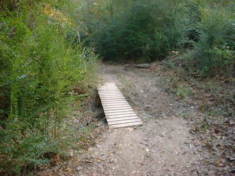 A wooden bridge crosses a dirt path surrounded by dense greenery in a forested area. The ground is covered with fallen leaves, and the foliage is lush, indicating a natural outdoor setting. Tour de Wolf mountain bike trail.