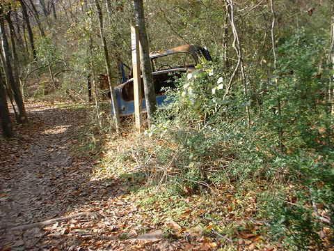 An abandoned car partially hidden among trees and shrubs along a forest trail, with fallen leaves covering the ground. Tour de Wolf mountain bike trail.