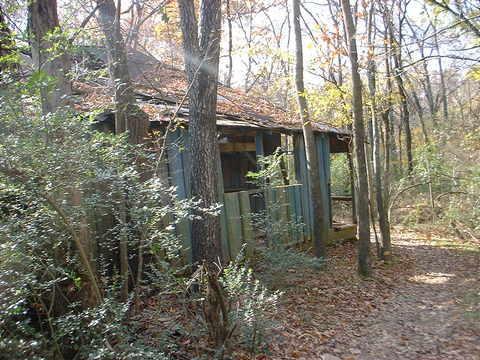 An abandoned wooden cabin partially hidden among trees in a dense forest, with fallen leaves covering the ground and a weathered exterior showing signs of decay. Tour de Wolf mountain bike trail.