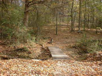 A narrow wooden bridge crossing a small creek, surrounded by a forest with trees shedding their leaves in autumn. The ground is covered with fallen leaves, and the scene captures a tranquil and natural outdoor setting. Tour de Wolf mountain bike trail.